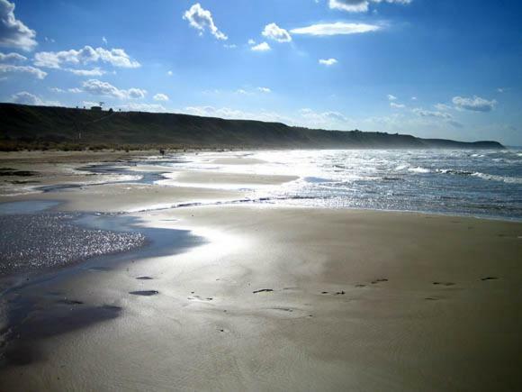 Accanto Al Faro *